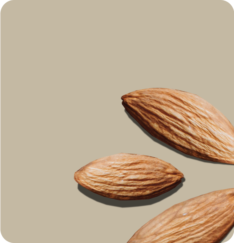 Frutos secos y especias